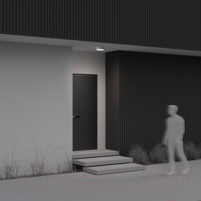 Светильник уличный Maytoni Zon IP O431CL-L30W4K