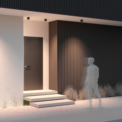 Потолочный светильник Maytoni Ares O309CL-L8GF3K