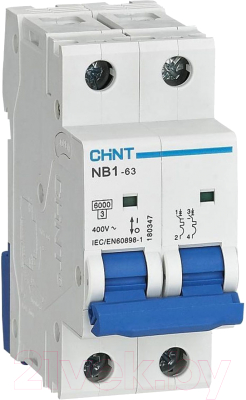Выключатель автоматический Chint NB1-63 2P 4A 6кА D (DB) (R) / 179678 - фото