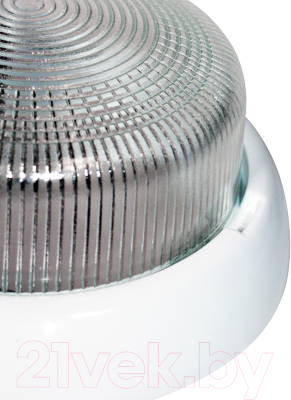 Светильник ЖКХ Элетех Раунд 200 НБО 23-60-001 / 1005500567