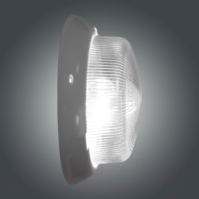 Светильник ЖКХ Элетех Раунд 200 НБО 23-60-001 / 1005500567