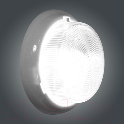 Светильник ЖКХ Элетех Раунд 200 НБО 23-60-001 / 1005500567