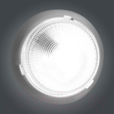 Светильник ЖКХ Элетех Раунд 200 НБО 23-60-001 / 1005500567