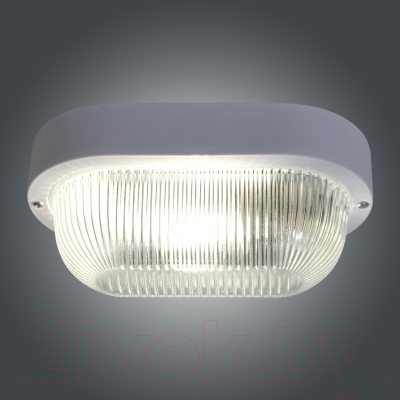 Светильник ЖКХ Элетех Фарпласт НБО 23-60-005 / 1005500128