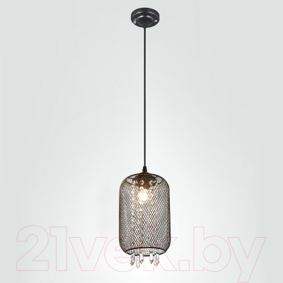 Потолочный светильник ESCADA 1125/1S (черный)