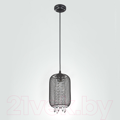 Потолочный светильник ESCADA 1125/1S (черный)