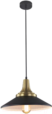 Потолочный светильник ESCADA 1101/1S (черный) - фото