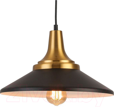 Потолочный светильник ESCADA 1101/1S (черный)