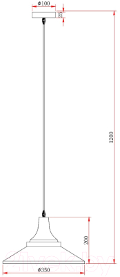 Потолочный светильник ESCADA 1101/1S (черный)