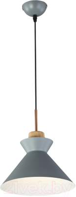 Потолочный светильник ESCADA 1106/1S - фото