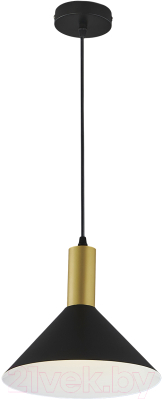 Потолочный светильник ESCADA 1108/1S (черный) - фото