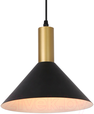 Потолочный светильник ESCADA 1108/1S (черный)