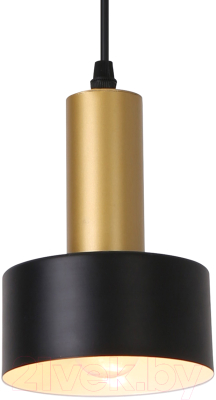 Потолочный светильник ESCADA 1111/1S (черный)