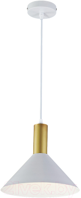 Потолочный светильник ESCADA 1108/1S - фото