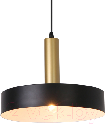 Потолочный светильник ESCADA 1110/1S (черный)