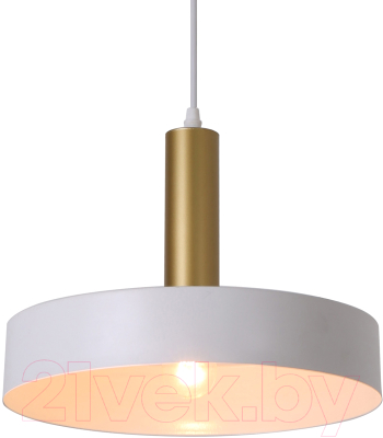 Потолочный светильник ESCADA 1110/1S (белый)