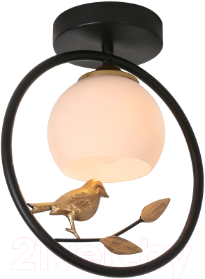 Потолочный светильник ESCADA 1113/1P - фото