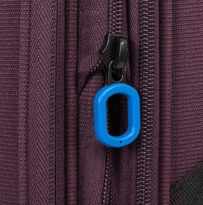 Чемодан на колесах Francesco Molinary 111-22039W/3-19PRP