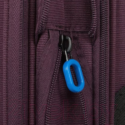 Чемодан на колесах Francesco Molinary 111-22039W/3-19PRP