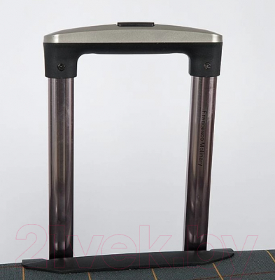 Чемодан на колесах Francesco Molinary 219-1094FM-5-20GRY