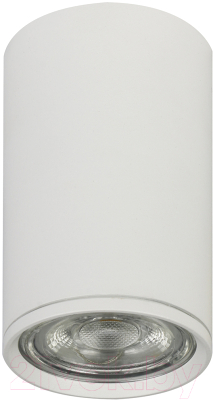 Потолочный светильник ESCADA 20001SMU/01 SWH (белый матовый) - фото