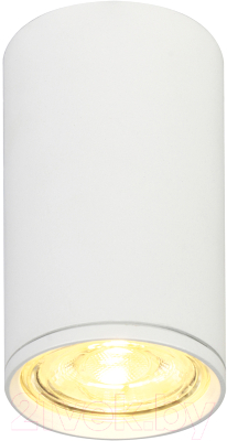 Потолочный светильник ESCADA 20001SMU/01 SWH (белый матовый)