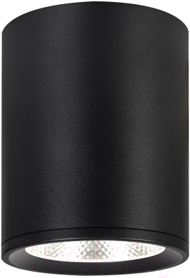 Потолочный светильник ESCADA 20003SMU/02LED SBK - фото