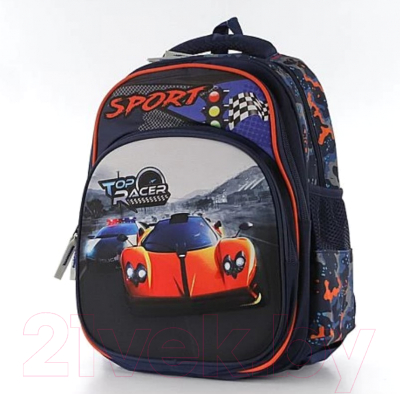 Школьный рюкзак Ecotope 306-62119E-DCL (Dark Color)