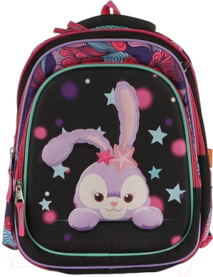 Школьный рюкзак Ecotope 306-62207-BCL (черный) - фото