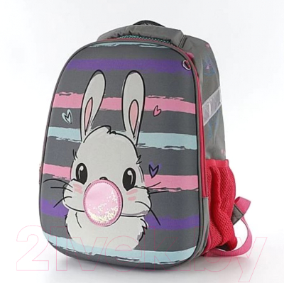 Школьный рюкзак Ecotope 306-62217-GCL (серый)