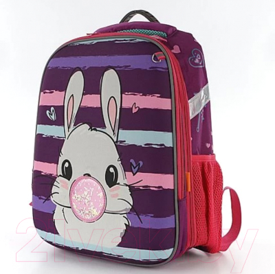 Школьный рюкзак Ecotope 306-62217-VCL (фиолетовый)