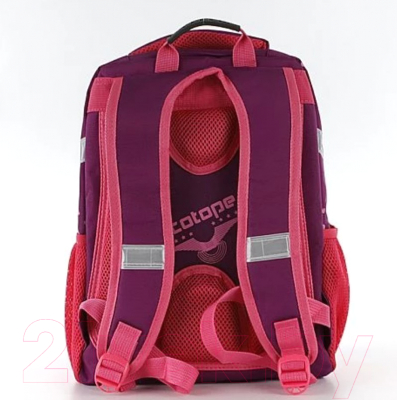 Школьный рюкзак Ecotope 306-8038-PRC (фиолетовый)