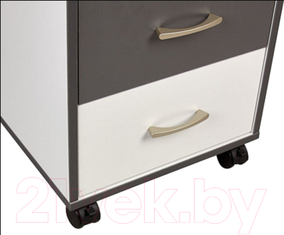 Тумба Polini Kids Mirum с ящиками на колесах 40x55 / 0002740.166 (белый/графит)