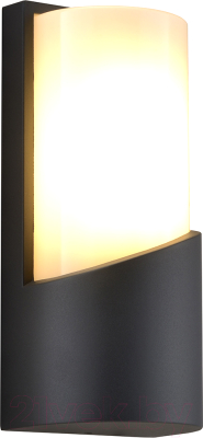 Бра уличное ESCADA 30004W/01 - фото