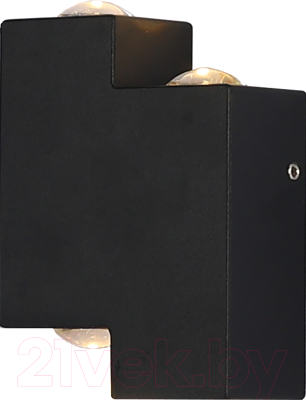 Бра уличное ESCADA 30005W/02LED - фото