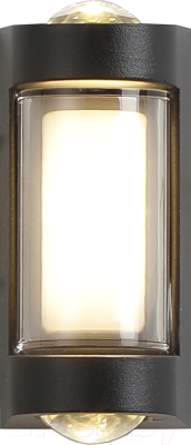 Бра уличное ESCADA 30006W/01LED - фото