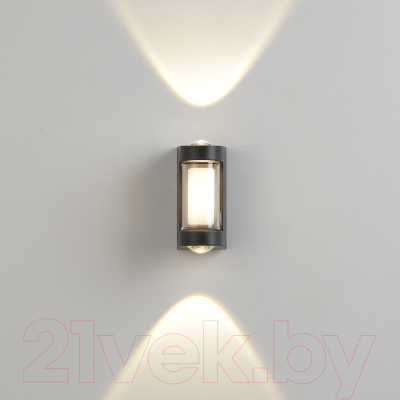 Бра уличное ESCADA 30006W/01LED