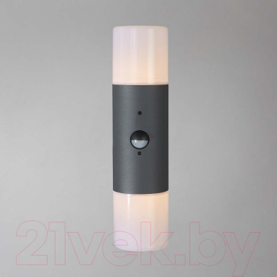 Бра уличное ESCADA 534/2A