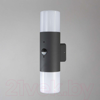 Бра уличное ESCADA 534/2A