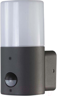 Бра уличное ESCADA 581/1A - фото