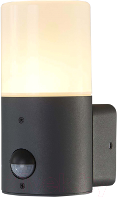 Бра уличное ESCADA 581/1A