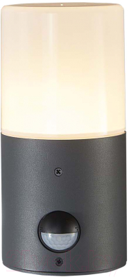 Бра уличное ESCADA 581/1A