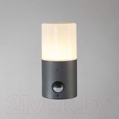 Бра уличное ESCADA 581/1A