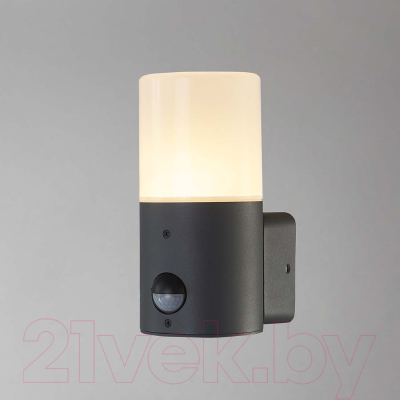 Бра уличное ESCADA 581/1A