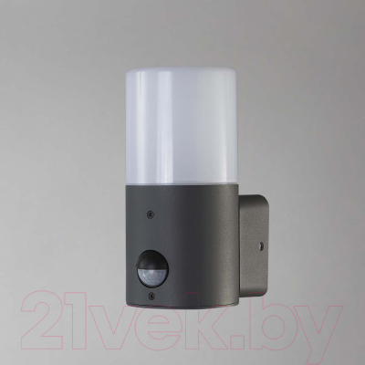 Бра уличное ESCADA 581/1A