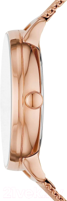 Часы наручные женские Skagen SKW2918