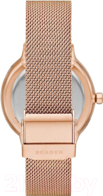 Часы наручные женские Skagen SKW2918