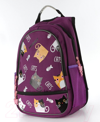 Школьный рюкзак Miqini 306-1001-PRC