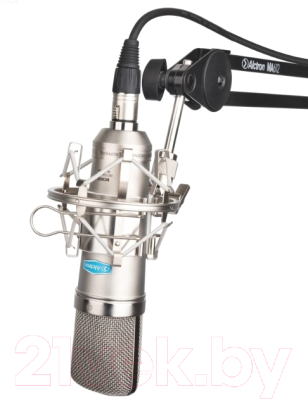 Микрофон Alctron MC002S