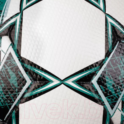 Футбольный мяч Select Fb Numero 10 V23 / 0575060004